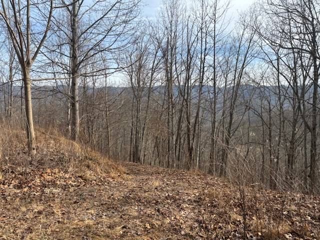 Hayesville, NC 28904,LOT 125 Shiloh Drive