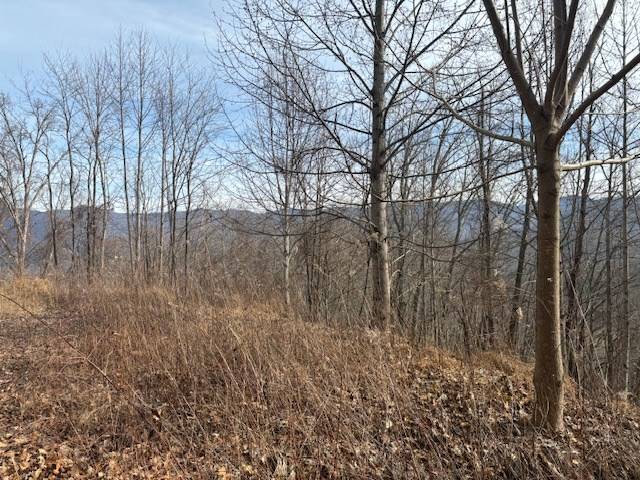 Hayesville, NC 28904,LOT 125 Shiloh Drive