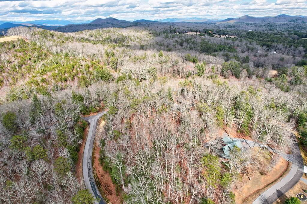 Morganton, GA 30560,Lot 14 My Forest Trail