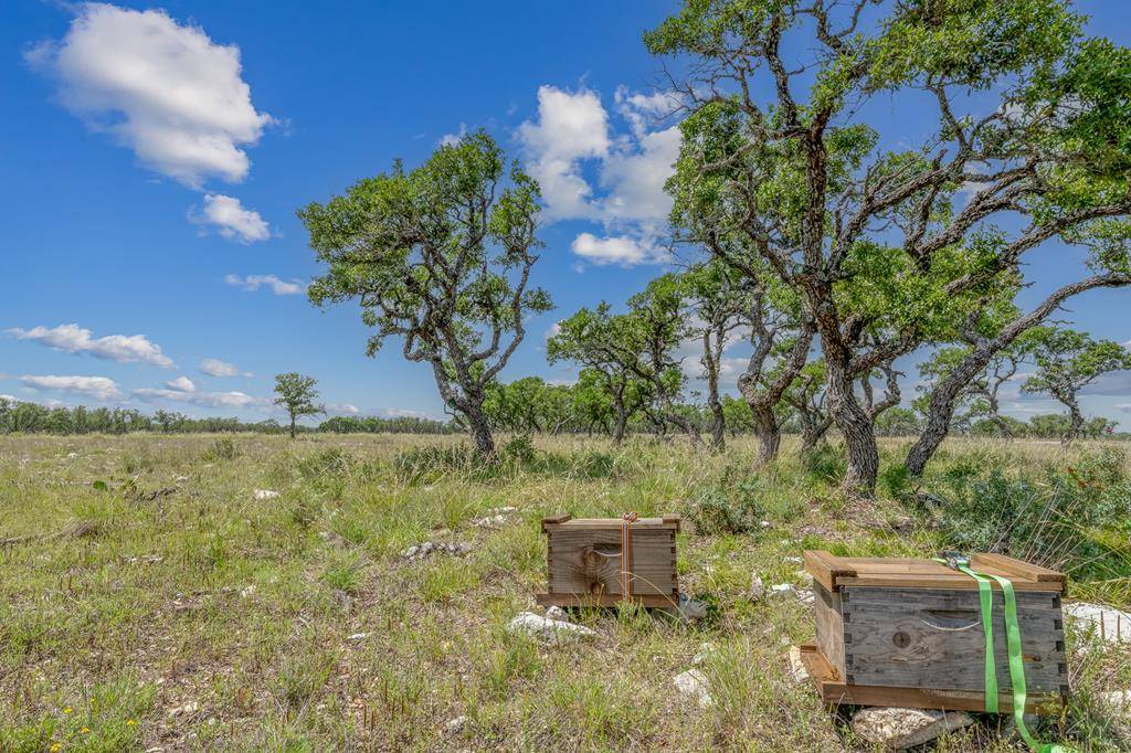 Junction, TX 76849,100 -- Spring XING