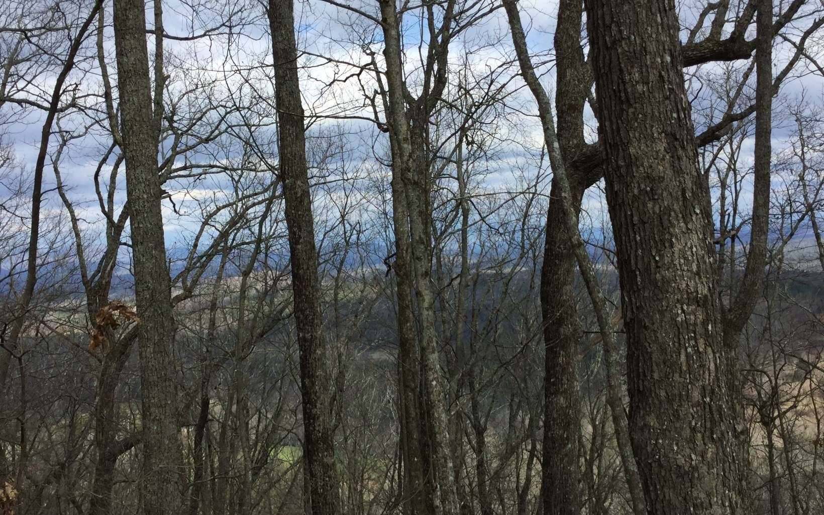 Murphy, NC 28906,50AC Candy Mountain Road