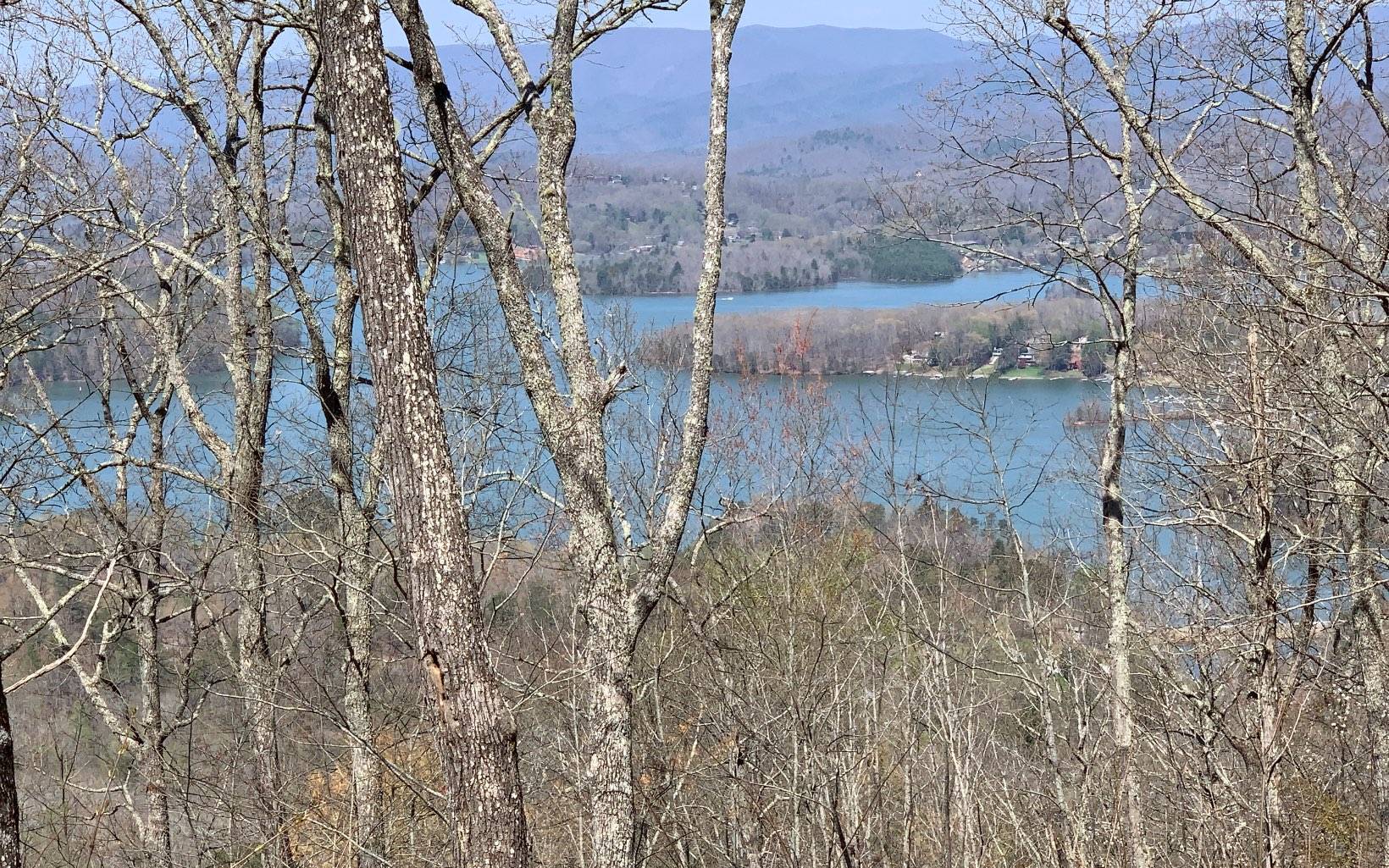 Hayesville, NC 28904,L-55 Eagles View (Lot)