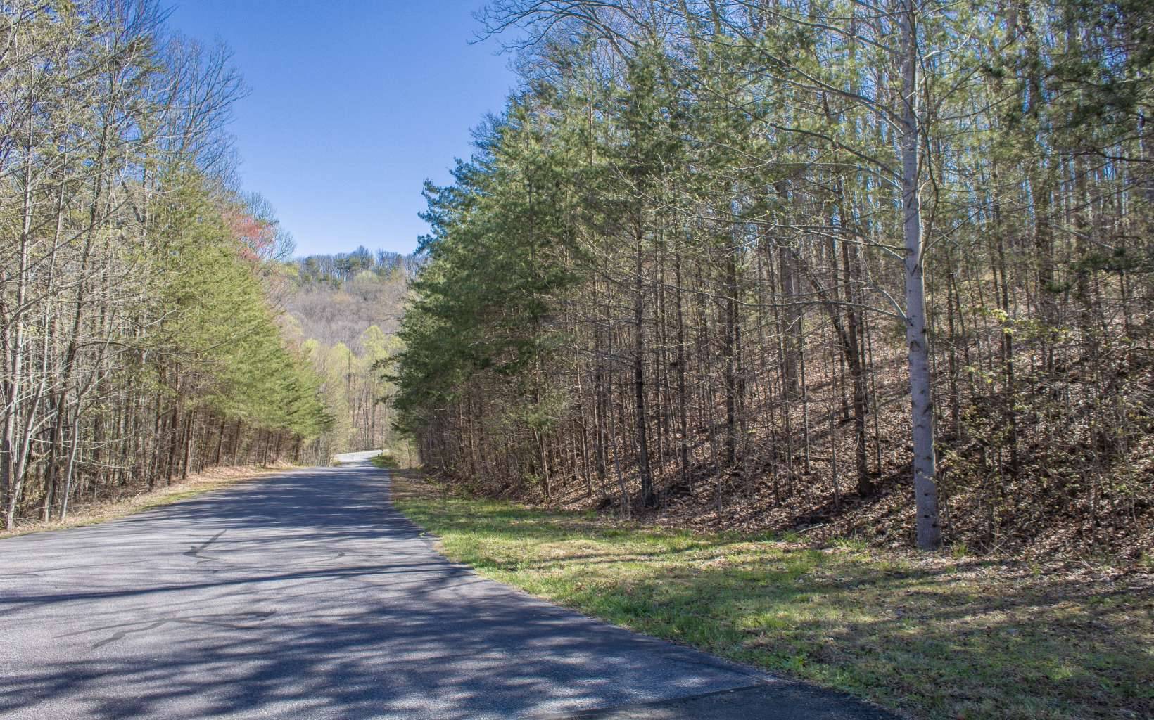 Ellijay, GA 30536,3A Mac Allan Court