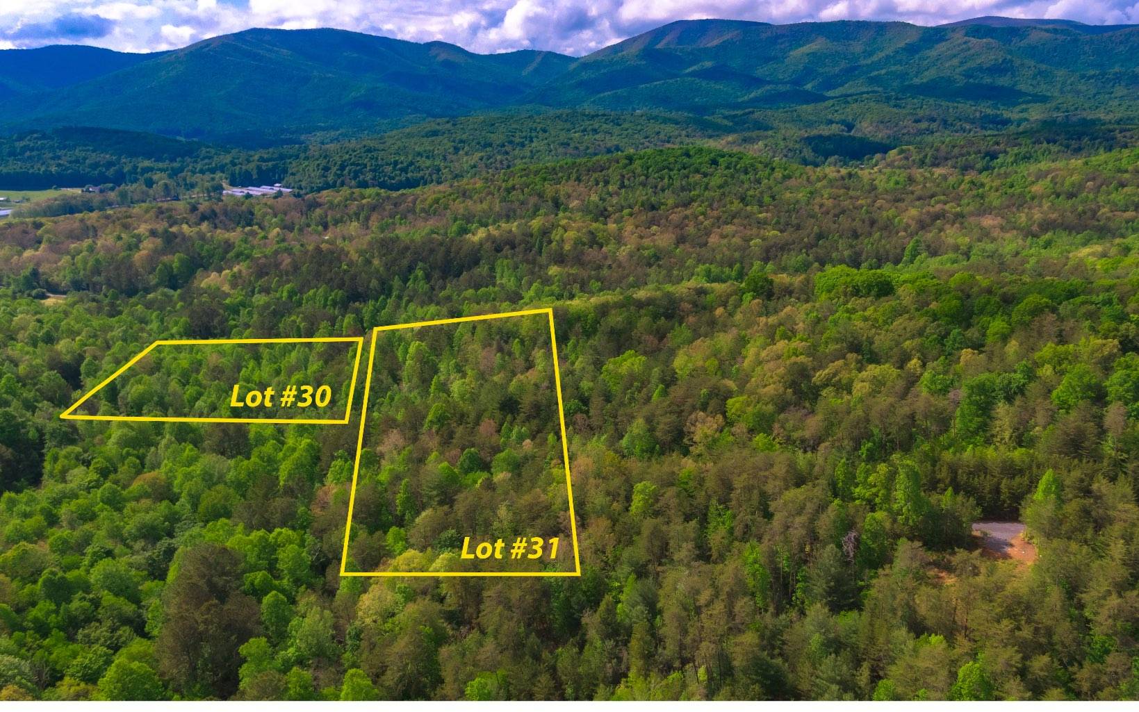 Ellijay, GA 30536,East Ridge Ln Lot 30