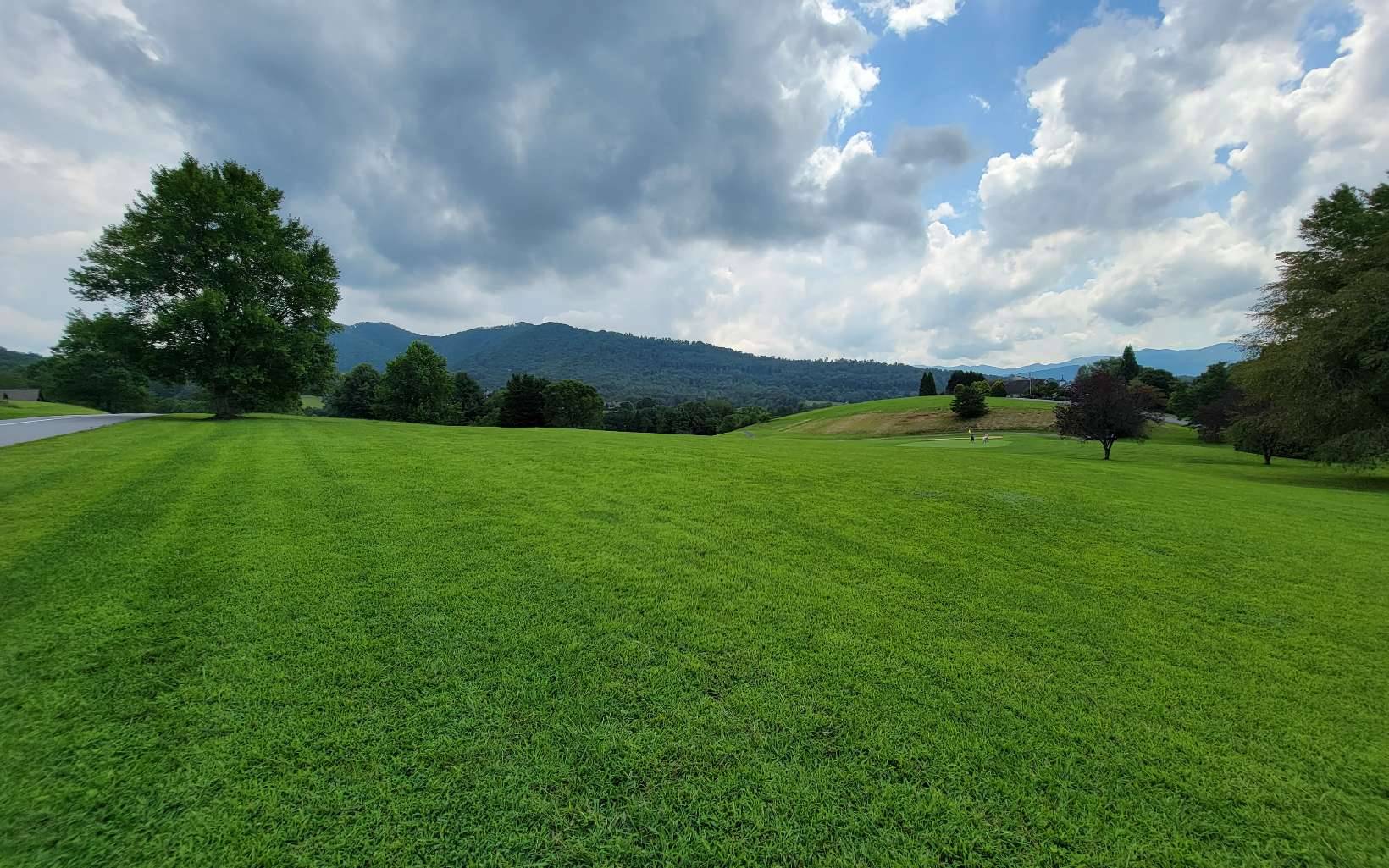 Hayesville, NC 28904,117A Mountain Harbour Drive