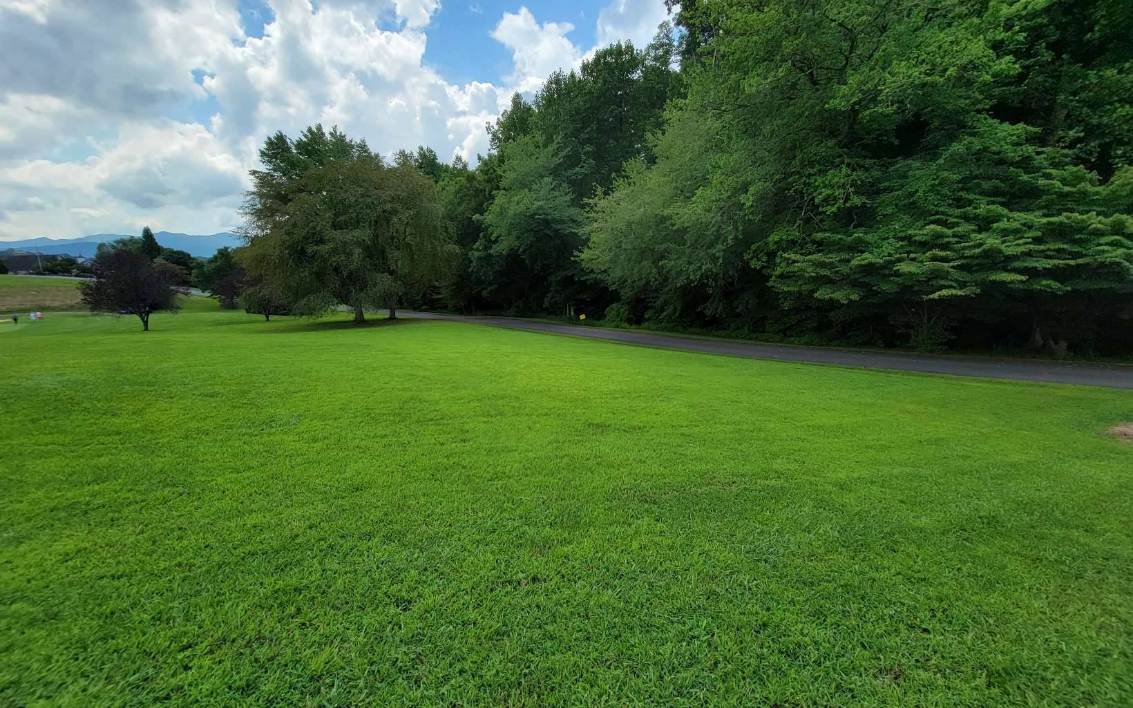 Hayesville, NC 28904,117A Mountain Harbour Drive