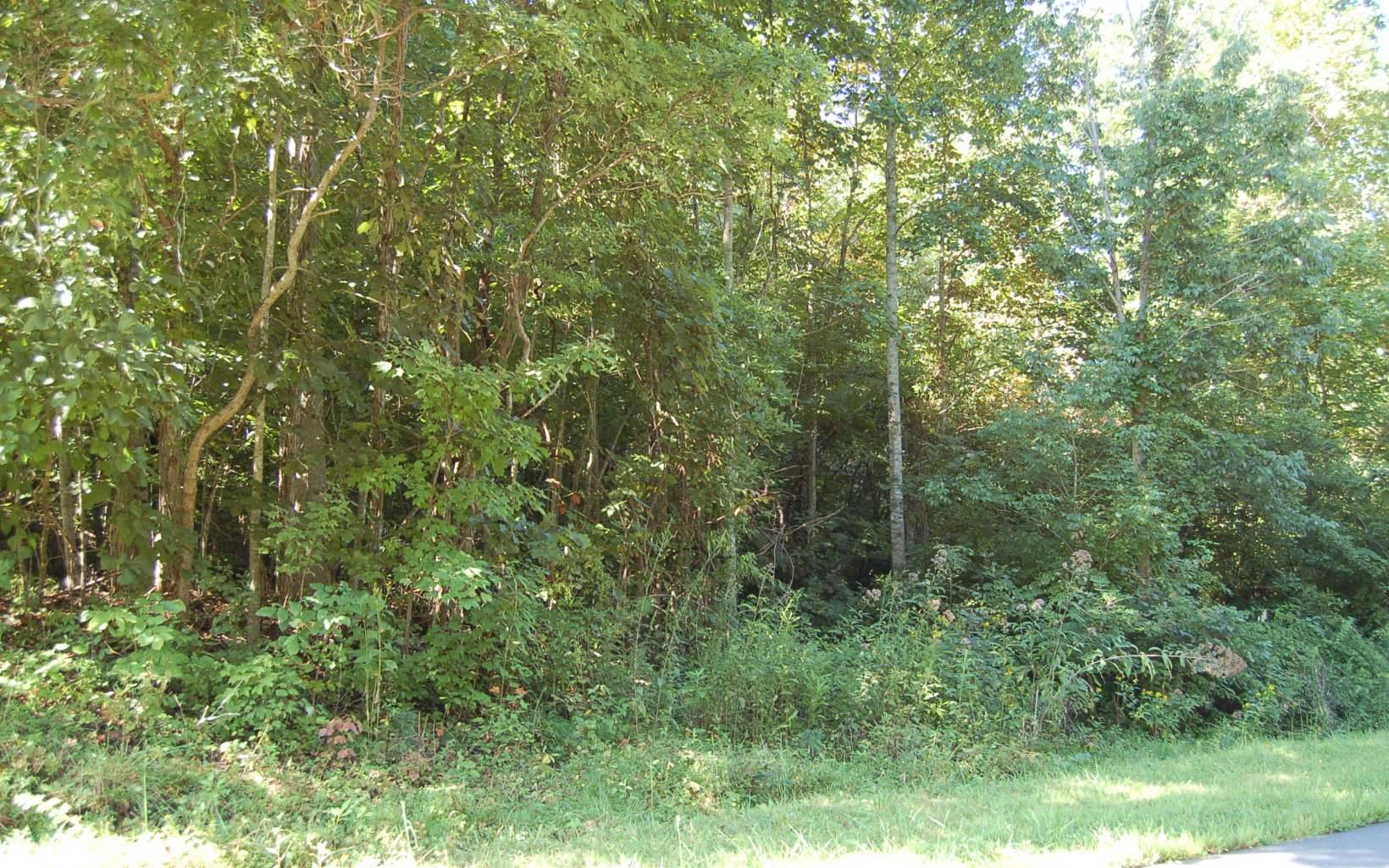 Hiawassee, GA 30546,Lot 3 Ramey Mtn