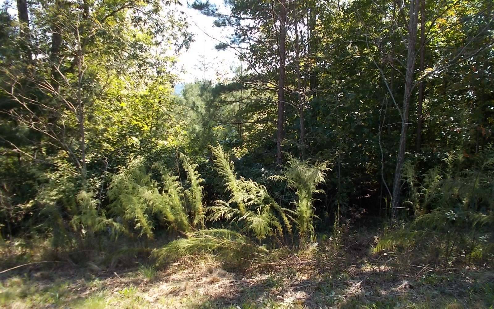 Morganton, GA 30560,LOT34 Rustic Barn Trail