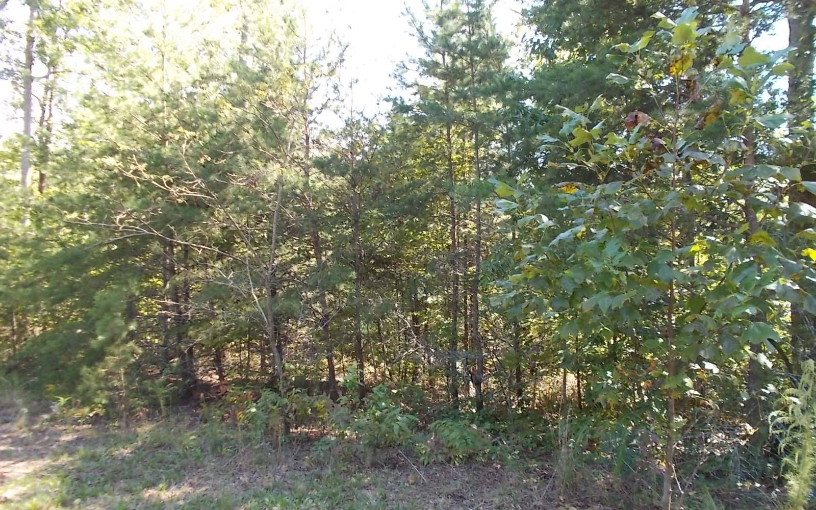 Morganton, GA 30560,LOT34 Rustic Barn Trail