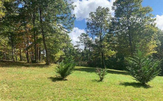 Young Harris, GA 30582,TR 1 Morgan Ridge Court