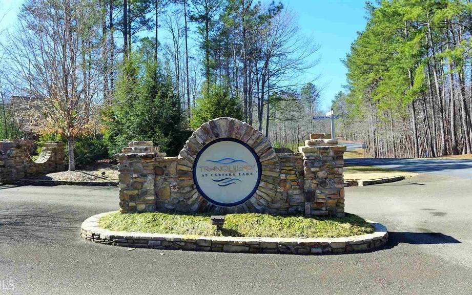 Ellijay, GA 30540,LT171 Doll Mountain Road