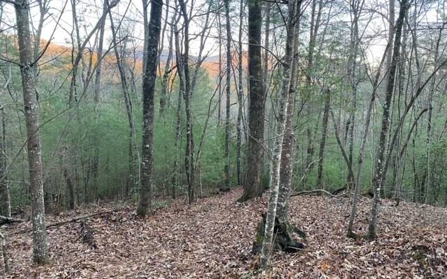 Cherry Log, GA 30522,2.9AC Goose Island Road