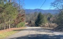 Ellijay, GA 30540,238 Toccoa Court