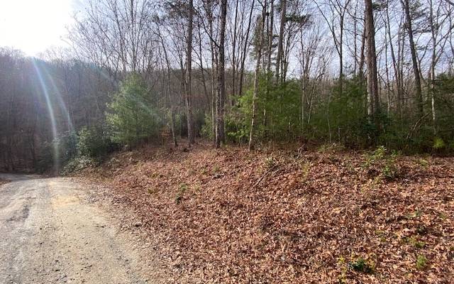 Mineral Bluff, GA 30559,LOT14 Dana Road