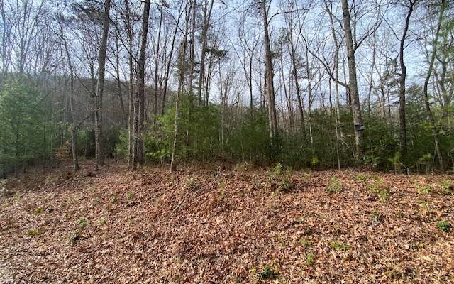 Mineral Bluff, GA 30559,LOT14 Dana Road