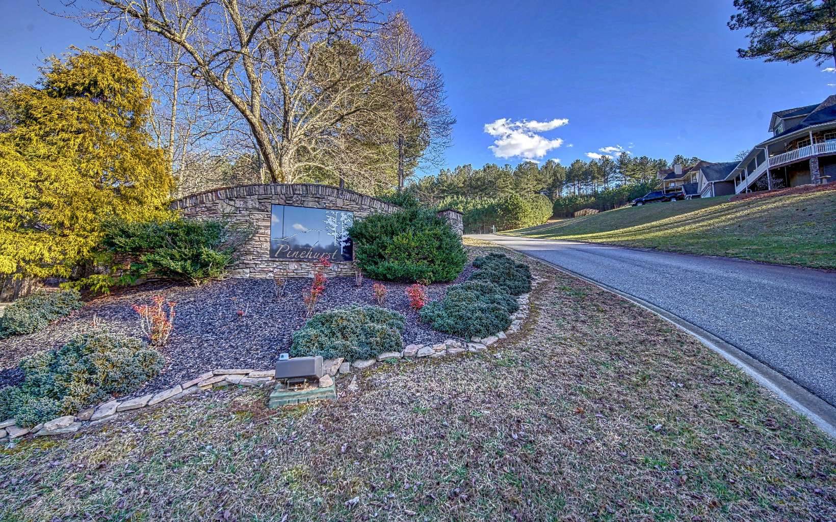 Blairsville, GA 30512,LOT46 Pinehurst Road