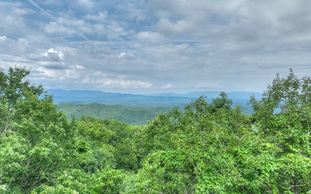 Ellijay, GA 30540,LT 36 Utana Bluff Trails