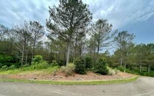 Ellijay, GA 30536,LOT 2 Eastside Drive