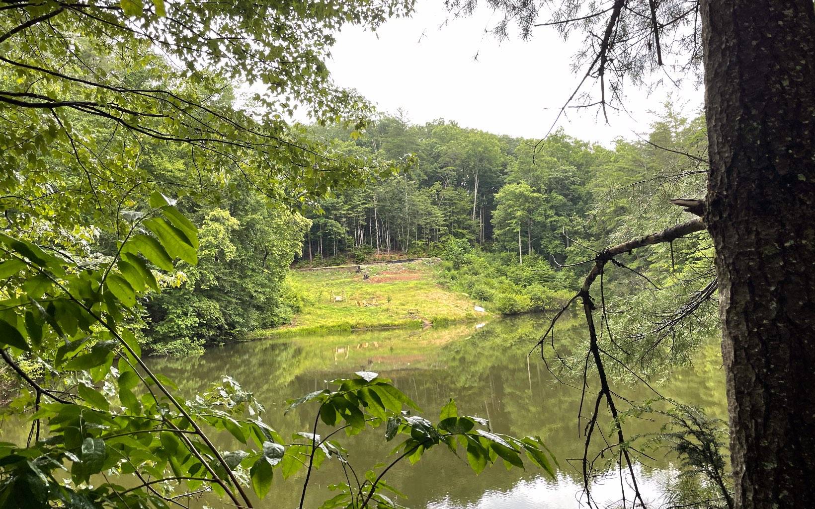 Cherry Log, GA 30522,1293 Hidden Lake