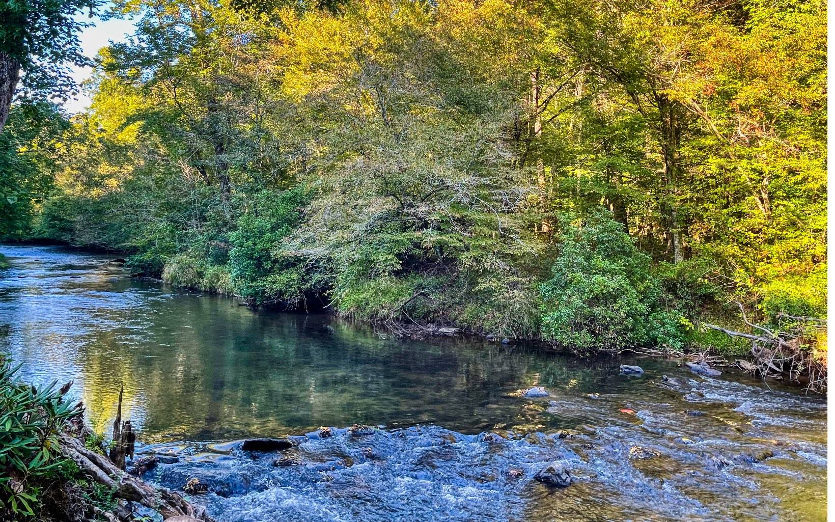 Cherry Log, GA 30522,LT 10 River Escape Drive