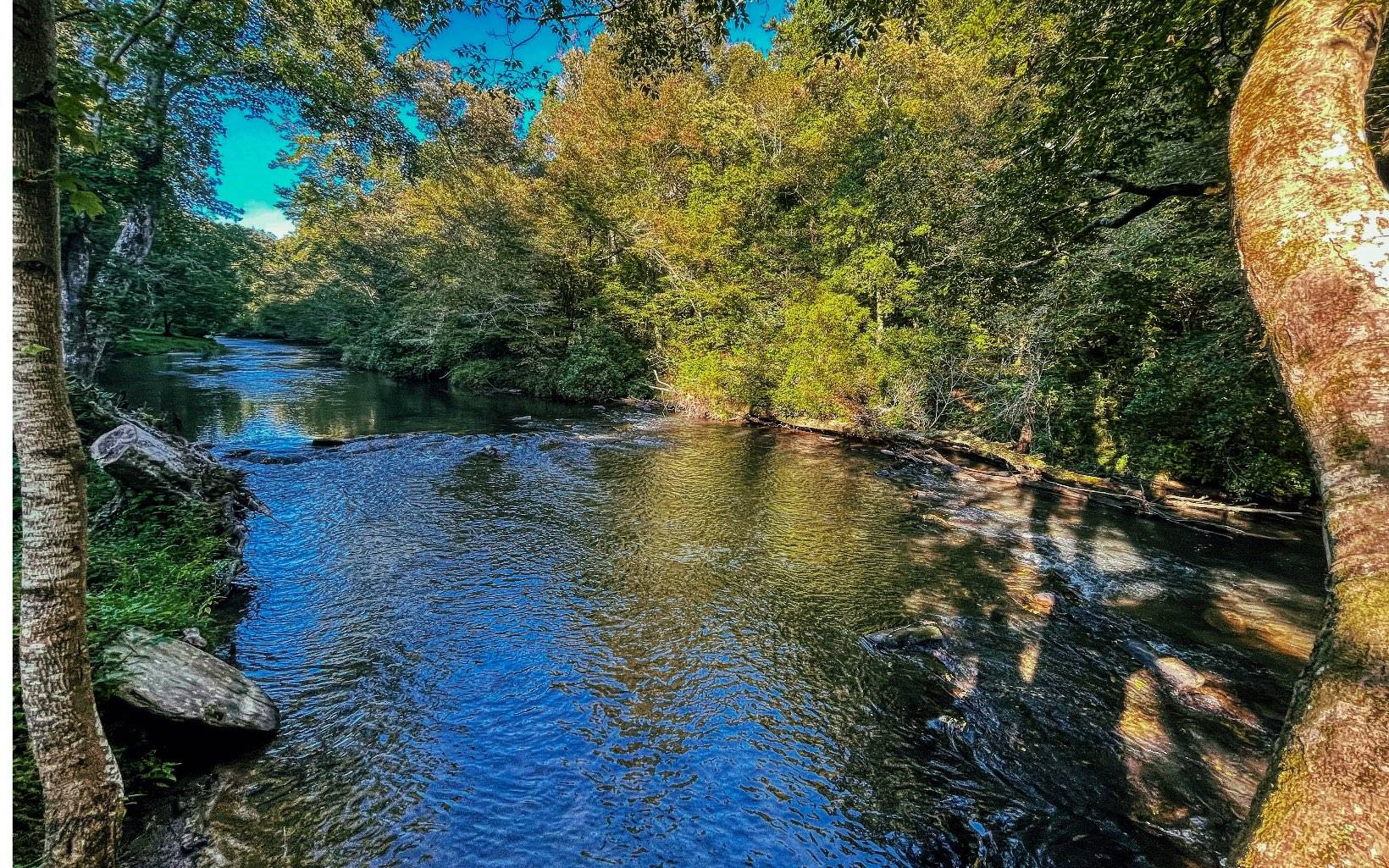 Cherry Log, GA 30522,LT 10 River Escape Drive