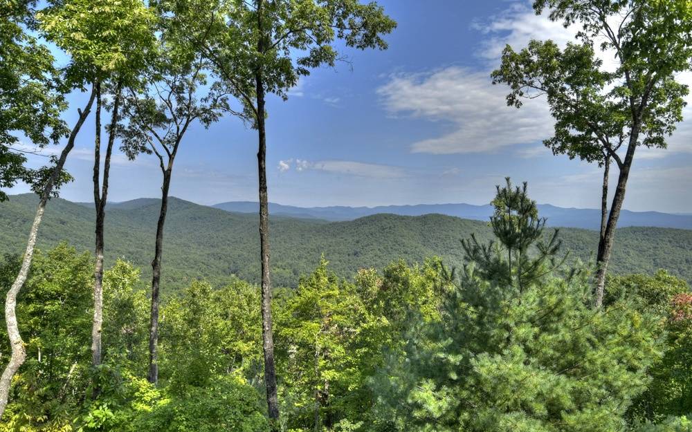 Ellijay, GA 30540,LT 27 Wohali Knob Trail