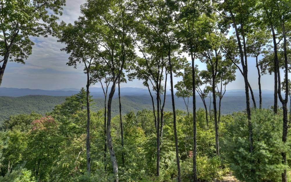 Ellijay, GA 30540,LT 27 Wohali Knob Trail