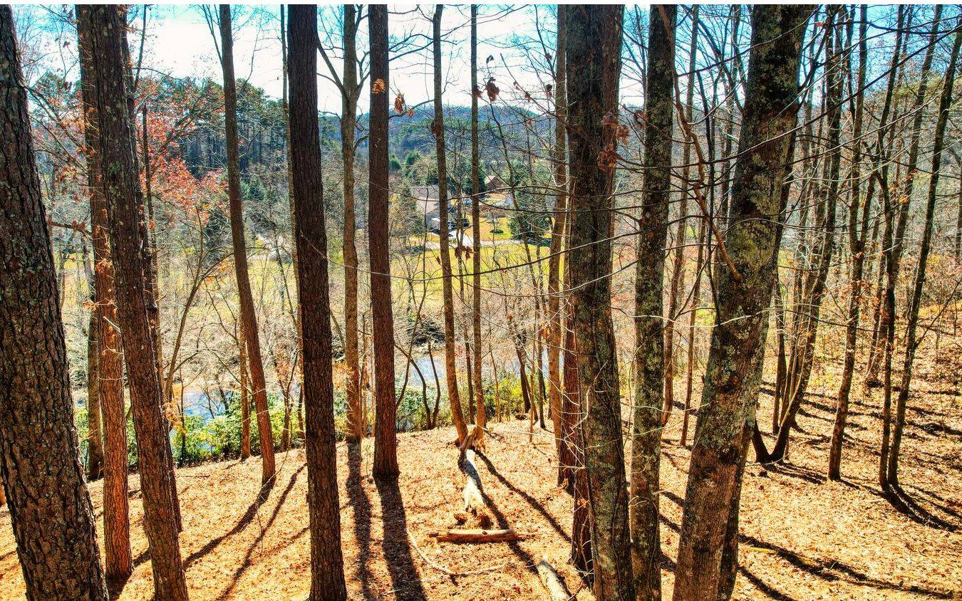 Hayesville, NC 28904,LOT 2 Misty River Sub