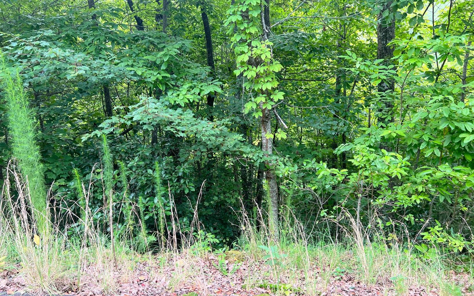 Brasstown, NC 28902,LOT 8 The Preserve at Beach Mountain