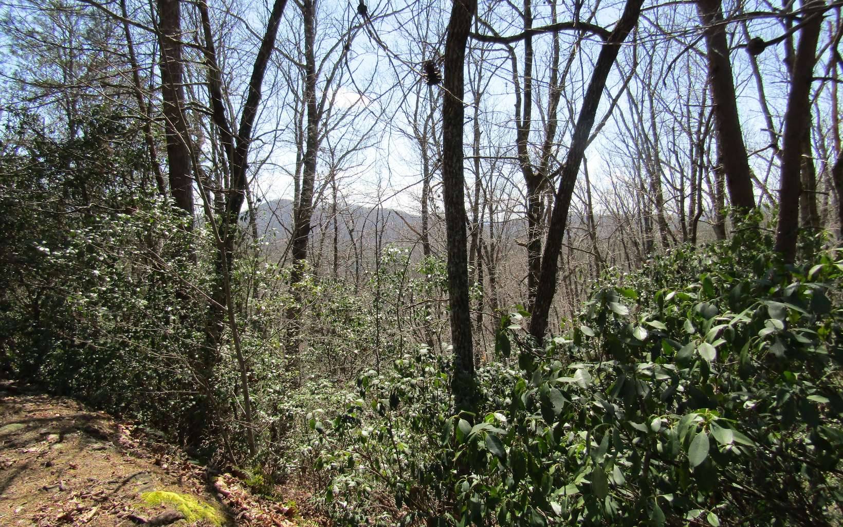 Hayesville, NC 28904,LT27 Mission Ridge