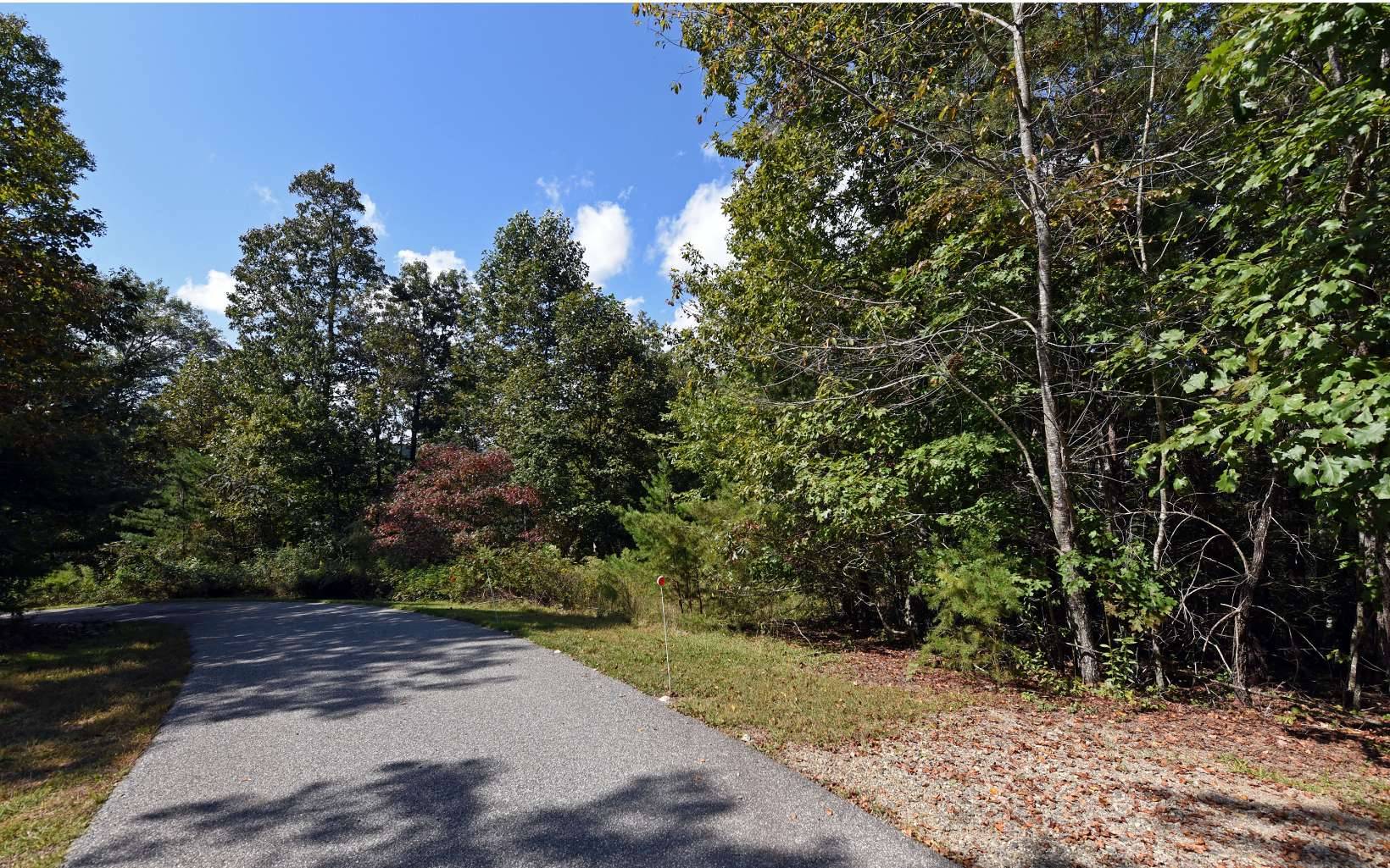 Blairsville, GA 30512,Out The Ridge Lot 6