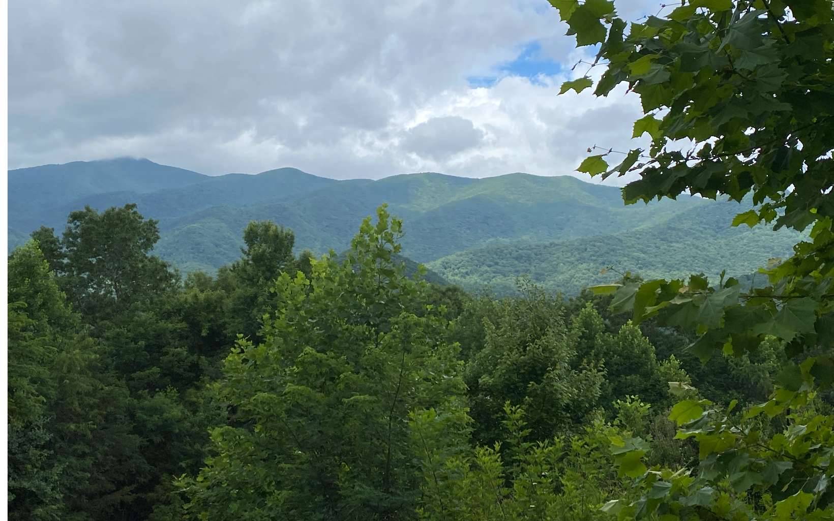 Hiawassee, GA 30546,Mill Ridge Road