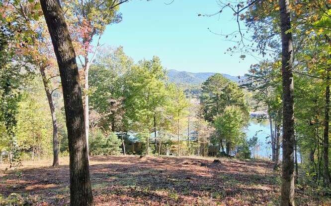 Hiawassee, GA 30546,Big Oak Lane