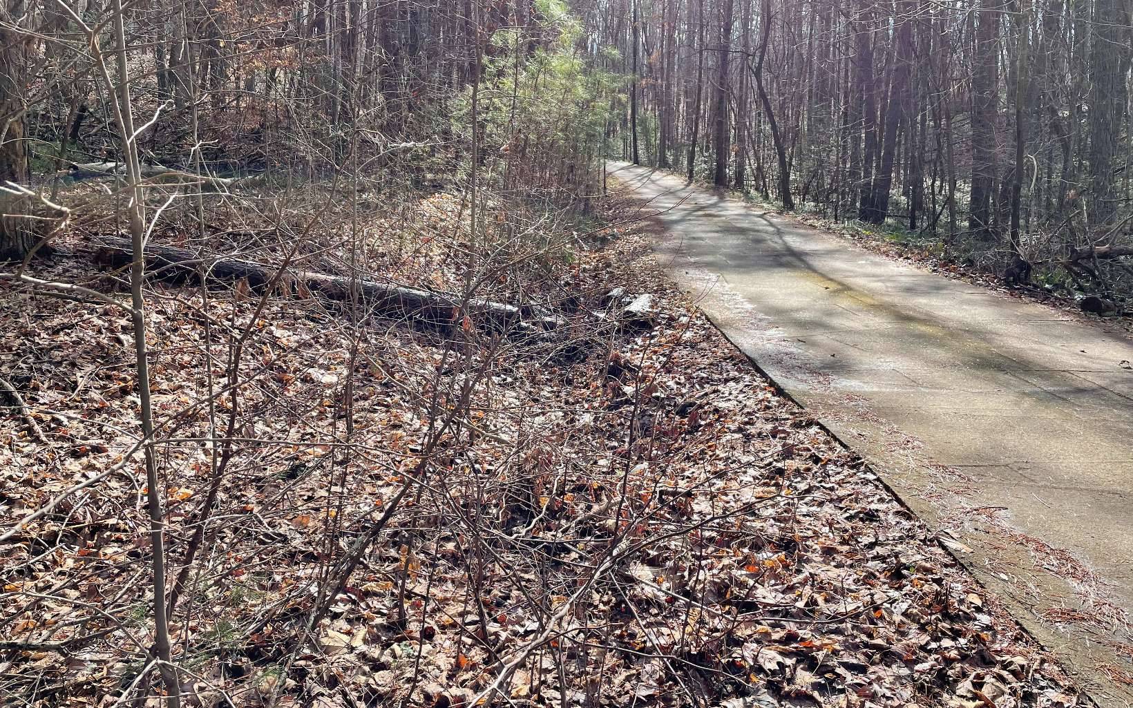 Blairsville, GA 30512,LOT 3 Mattie Lane