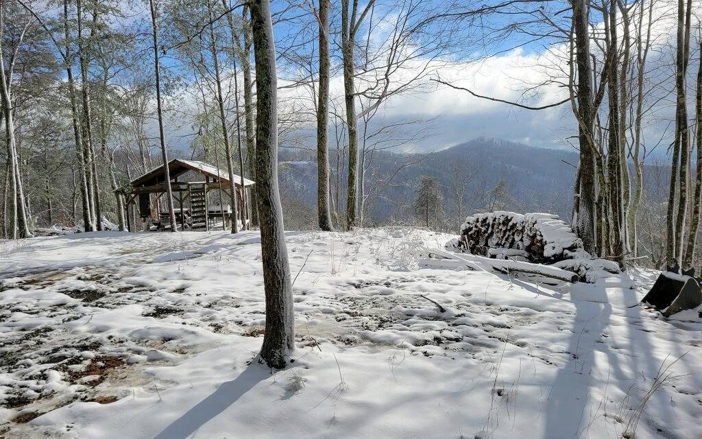 Ellijay, GA 30540,5214 Brushy Top Drive