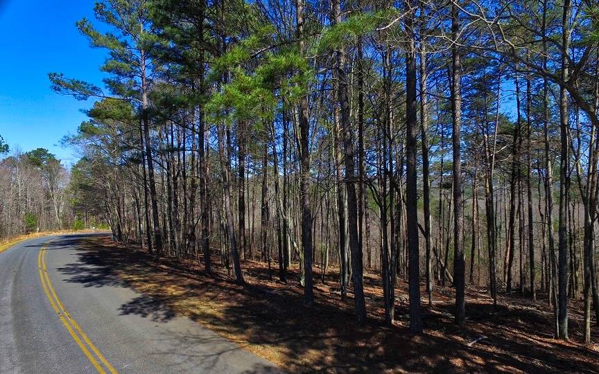 Ellijay, GA 30540,LT178 Doll Mountain Road