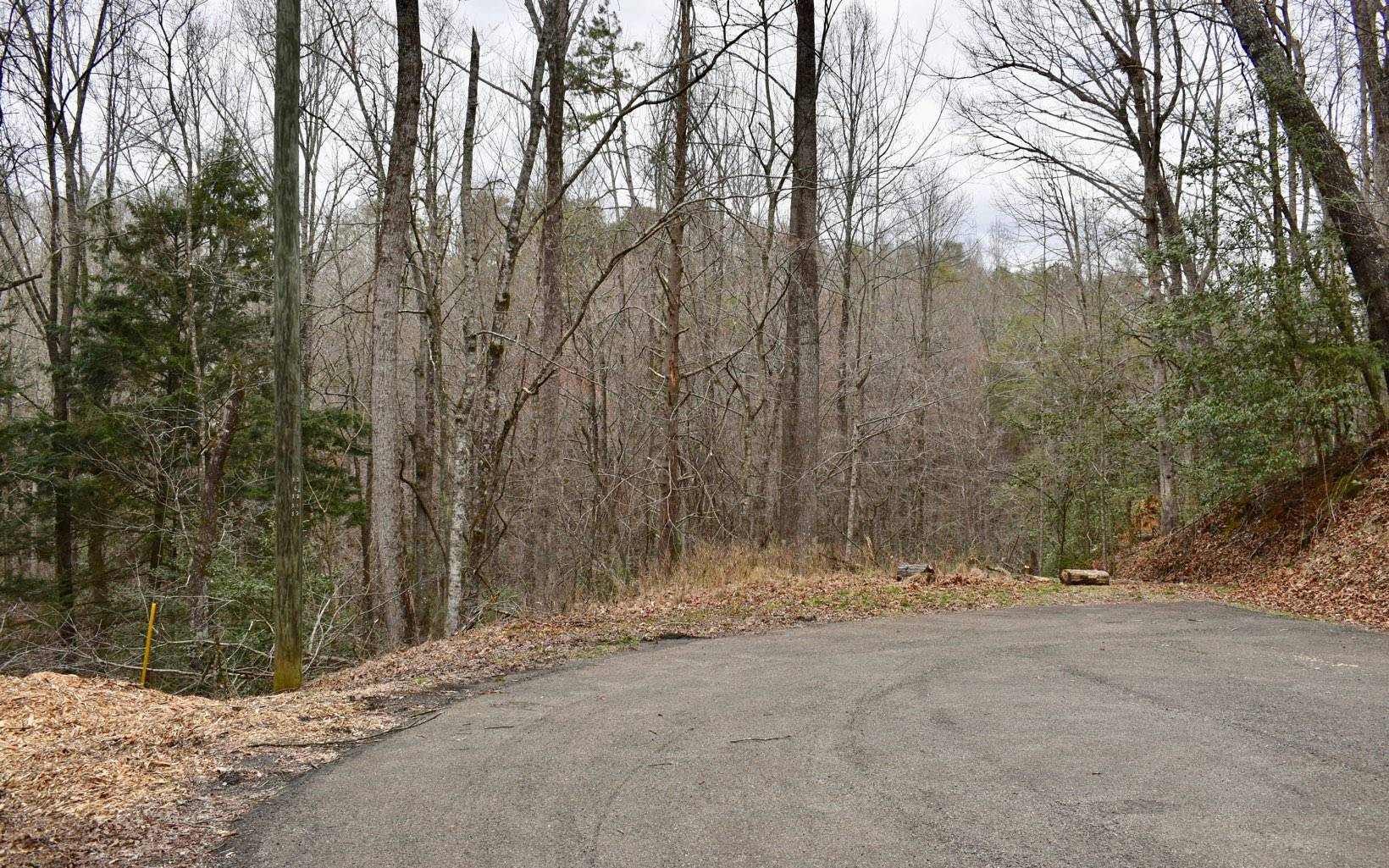 Ellijay, GA 30540,Hiawassee Court