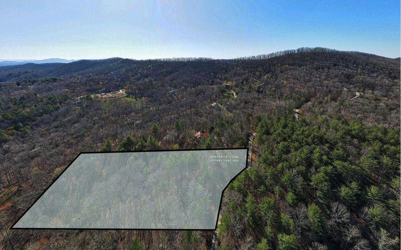 Morganton, GA 30560,LOT 8 Birchwood Trails