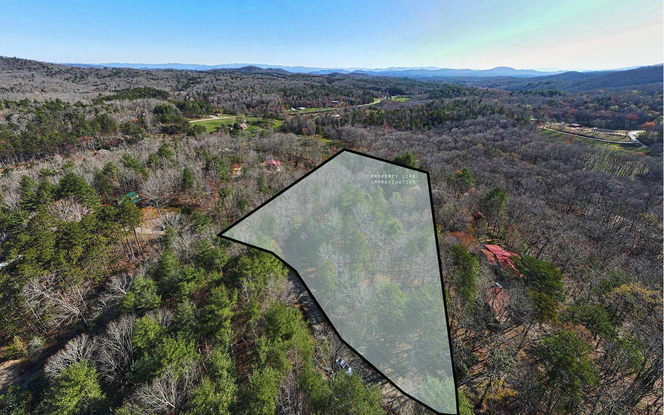 Morganton, GA 30560,LOT 8 Birchwood Trails