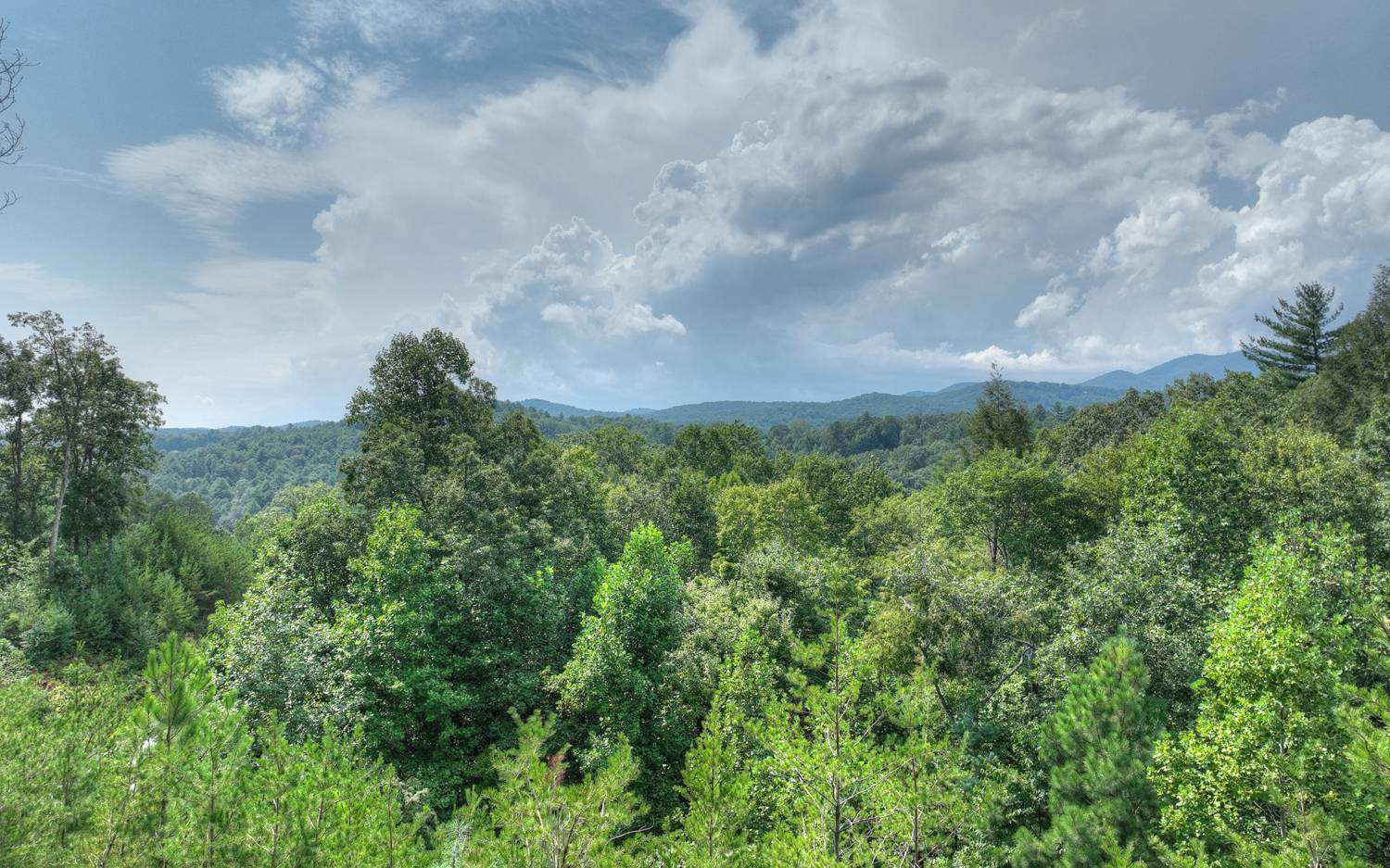 Ellijay, GA 30540,1079 Settlers Ridge Road