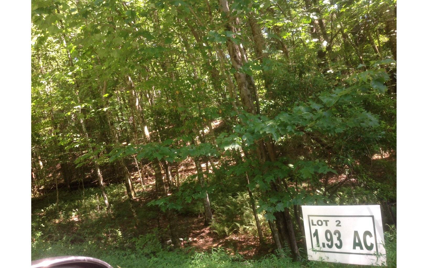 Morganton, GA 30560,LOT 2 Winding Brook Lane