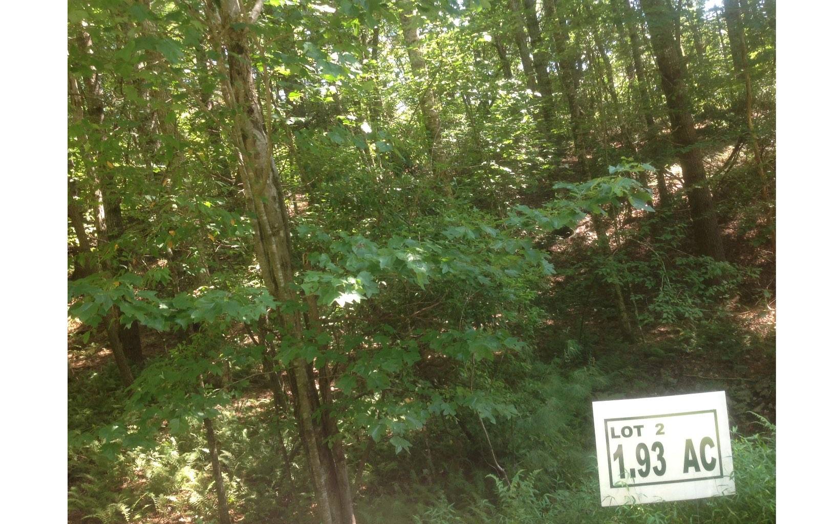 Morganton, GA 30560,LOT 2 Winding Brook Lane