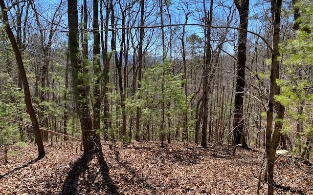 Cherry Log, GA 30522,LT260 Little Bushy Head Road