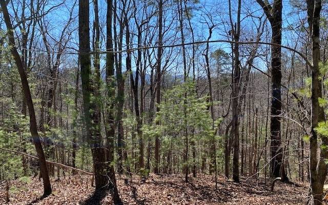 Cherry Log, GA 30522,LT260 Little Bushy Head Road