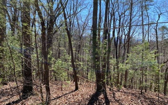 Cherry Log, GA 30522,LT260 Little Bushy Head Road