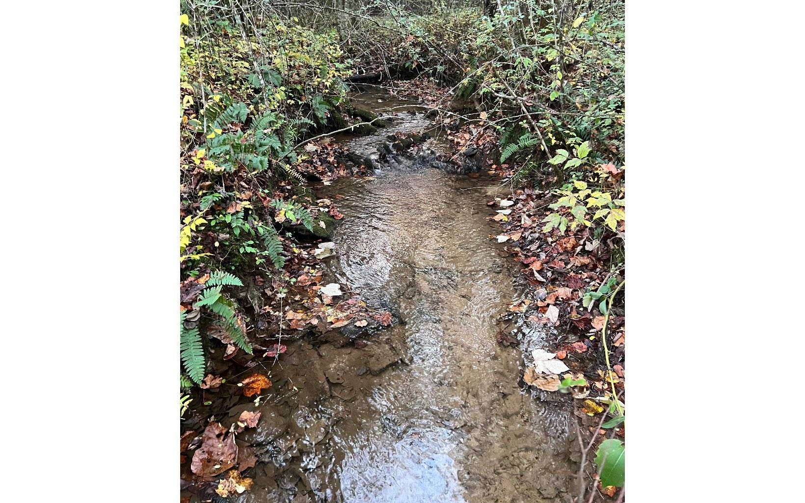 Blue Ridge, GA 30513,221 Staurolite Mountain