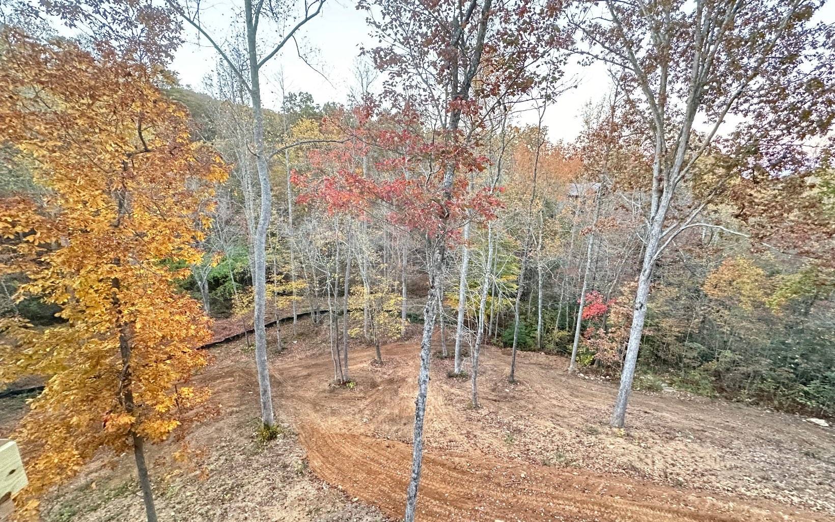 Blue Ridge, GA 30513,221 Staurolite Mountain