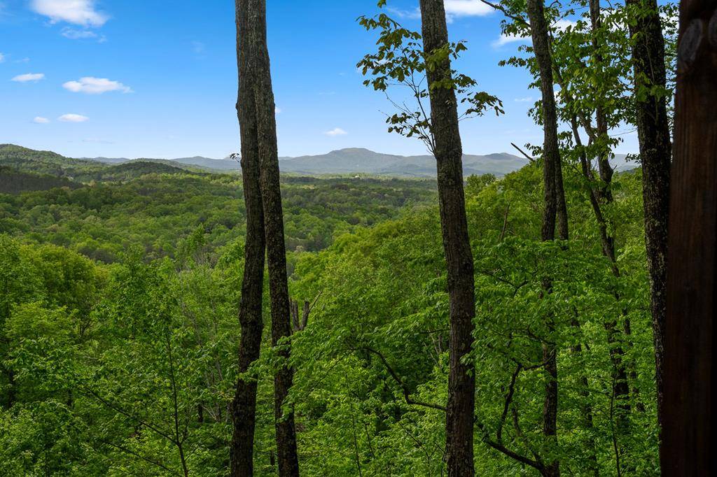 Cherry Log, GA 30522,475 Little Bushy Head Road