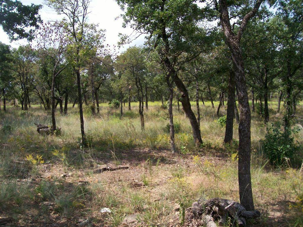 Chico, TX 76431,Lot 362 Moonlight Bay Drive