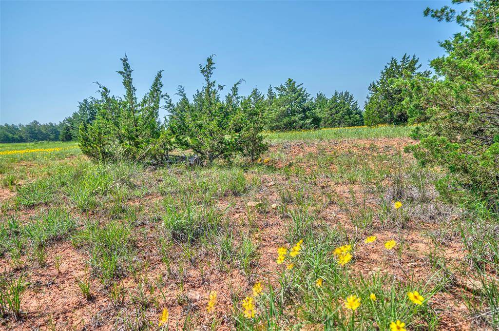 Guthrie, OK 73044,7144 Redbud Trail